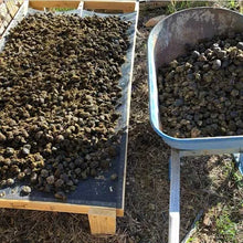 Load image into Gallery viewer, Manure Based Substrate