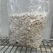 Load image into Gallery viewer, Sterile 3 pound Milo grain bag with injection port