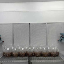 Load image into Gallery viewer, Sterile 3 pound Milo grain bag with injection port