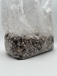 Grain bag & Substrate flash sale