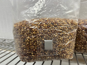 Sterile 3 pound Milo grain bag with injection port