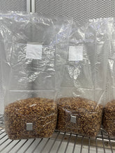Load image into Gallery viewer, Sterile 3 pound Milo grain bag with injection port

